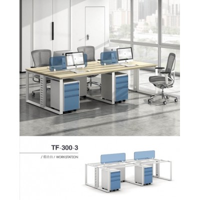 Workstation (TF-300-3)